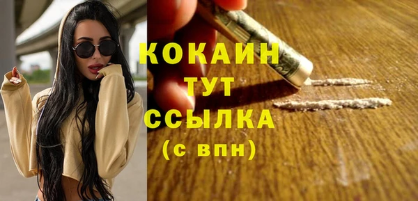 шишки Осинники