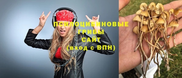 крисы Остров