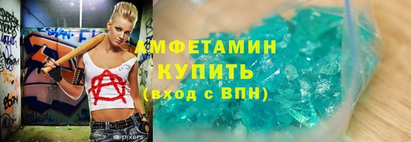 шишки Осинники