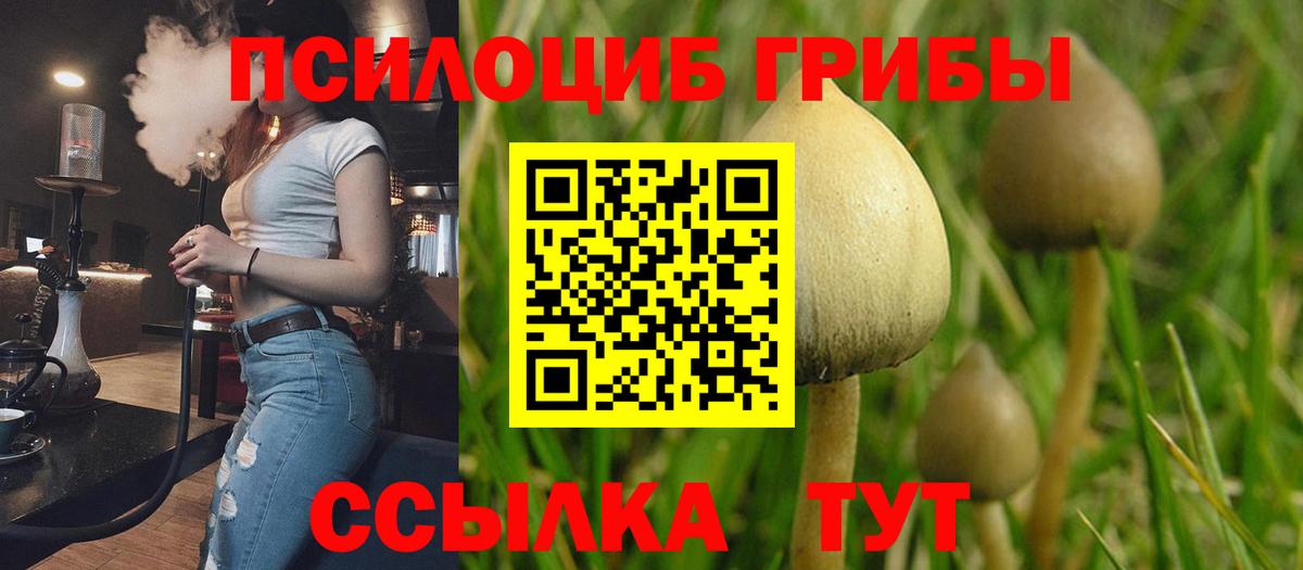 Псилоцибиновые грибы MAGIC MUSHROOMS  Псилоцибиновые грибы Magic Shrooms  Стрежевой  Вход с VPN 