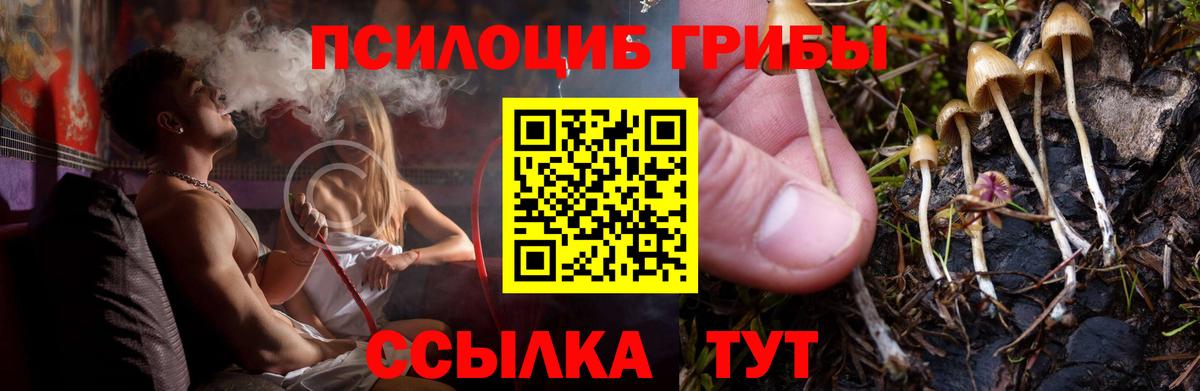 Галлюциногенные грибы Стрежевой